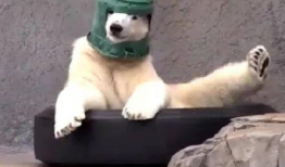 沙雕吃瓜爆料图片高清,沙雕吃瓜爆料，娱乐圈幕后真相大曝光！