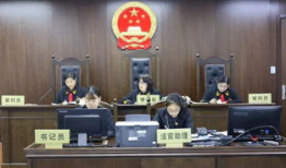 现在开庭 电视剧,揭开现代开庭剧幕