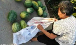 阜阳吃瓜最新事件爆料,揭秘背后惊人真相